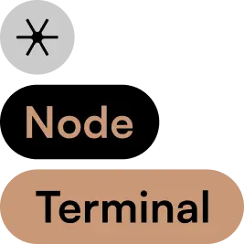 Node Terminal
